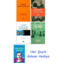 Alfa Yayınları Lineer Programlama + Geometri + Tanrı Parçacığı + Küçükler Şampiyonasından 250 Mat + Her Şeyin Anlamı