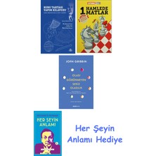 Alfa Yayınları Rubu Tahtası Yapım Kılavuzu + 1 Hamlede Matlar + Olası Görünmeyen Sekiz Olasılık + Her Şeyin Anlamı