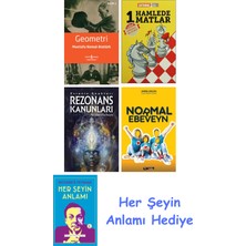 Alfa Yayınları Geometri + 1 Hamlede Matlar + Rezonans Kanunları + Normal Ebeveyn + Her Şeyin Anlamı