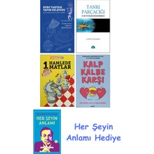 Alfa Yayınları Rubu Tahtası Yapım Kılavuzu + Tanrı Parçacığı + 1 Hamlede Matlar + Kalp Kalbe Karşı + Her Şeyin Anlamı