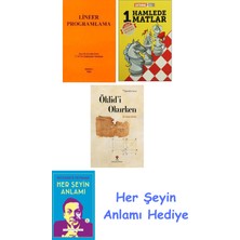 Alfa Yayınları Lineer Programlama + 1 Hamlede Matlar + Öklid'i Okurken + Her Şeyin Anlamı