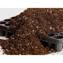 Botanik 20 Litre Ithal Kına Torf-Perlit Katkılı