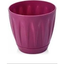 Venüs Shopping Papatya Saksı 4 Litre -P004