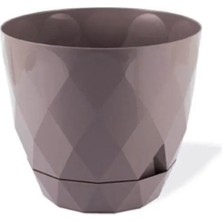 Venüs Shopping 2 No Yakamoz Saksı 1 Adet -KRS-452