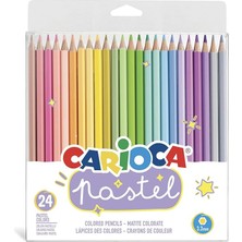 Pastel Renk Kuru Boya Kalemi 24'lü