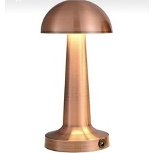 Masa Lambası CT-8430 Tek Anahtarla 3 Renk 61196