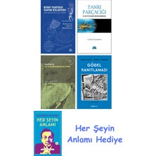 Alfa Yayınları Rubu Tahtası Yapım Kılavuzu + Tanrı Parçacığı + Darwin ve Fundamentalizm + Gödel Kanıtlaması + Her Şeyin Anlamı