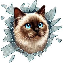 Hediye Bahçesi Fulcar Siamesse Araç Stickerı