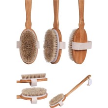 Gampus Saplı Doğal At Kılı Fırça - Masaj ve Selülit Fırçası