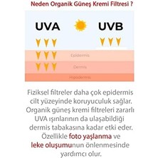 Mena Rise Quality Life Ql Yüz Güneş Kremi 50+ Spf Hyaluronik Asit ve Collagen 50 ml Uva + Uvb Çok Yüksek Koruma