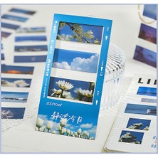 Mena Rise Temalı 5 Farklı Dizayn Pet • • • Sticky