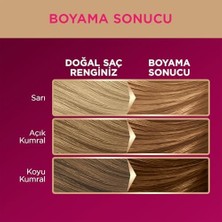 Mena Rise Palette Deluxe Saç Boyası 8-5 Bej Sarı 50 Mililitre