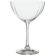 Mena Rise Concept Kadeh 350 ml