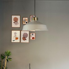 Bamyum Carmelo Gri Renk Asaletli Tekli Avize Plafonyer Rzans Başlık Sarkıt Lamba Salon Aydınlatma