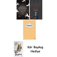 Alfa Yayınları Bir Yüreğin Çöküşü + Nat Tate + Unuttum Dünya + Kör Baykuş