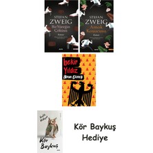 Alfa Yayınları Bir Yüreğin Çöküşü + Amok Koşucusu + Alman Ekmeği + Kör Baykuş