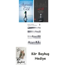 Alfa Yayınları Aynalı Göl + Nat Tate + Zamanın Işaretleri + Kör Baykuş