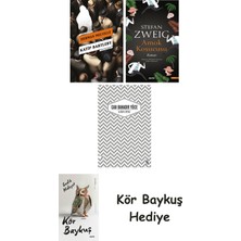 Alfa Yayınları Katip Bartleby + Amok Koşucusu + Uzakta Beyaz + Kör Baykuş