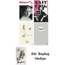 Alfa Yayınları Hikayeci - 5 + Şimdi Sevişme Vakti + Görme Huyu + Uzakta Beyaz + Kör Baykuş