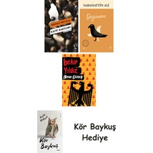 Alfa Yayınları Katip Bartleby + Değirmen + Alman Ekmeği + Kör Baykuş