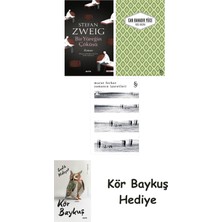 Alfa Yayınları Bir Yüreğin Çöküşü + Yaslı Mızıka + Zamanın Işaretleri + Kör Baykuş