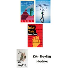 Alfa Yayınları Genç Kız Kalbi + Aynalı Göl + Kaçakçı Şahan + Kör Baykuş