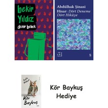 Alfa Yayınları Demir Bebek + Everest Açıkhava 42 - Dört Deneme Dört Hikâye + Kör Baykuş