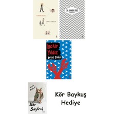 Alfa Yayınları Görme Huyu + Uzakta Beyaz + Beyaz Türkü + Kör Baykuş