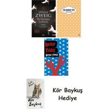 Alfa Yayınları Bir Yüreğin Çöküşü + Unuttum Dünya + Beyaz Türkü + Kör Baykuş