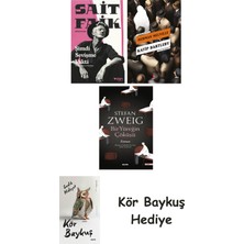 Alfa Yayınları Şimdi Sevişme Vakti + Katip Bartleby + Bir Yüreğin Çöküşü + Kör Baykuş