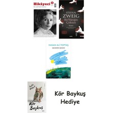 Alfa Yayınları Hikayeci - 5 + Bir Yüreğin Çöküşü + Gecenin Gecesi + Kör Baykuş