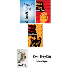 Alfa Yayınları Aynalı Göl + Kaçakçı Şahan + Alman Ekmeği + Kör Baykuş
