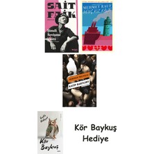 Alfa Yayınları Şimdi Sevişme Vakti + Genç Kız Kalbi + Katip Bartleby + Kör Baykuş