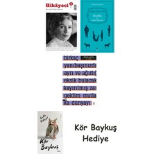 Alfa Yayınları Hikayeci - 5 + Falaka ve Diğer Öyküler + A ! Etika + Kör Baykuş