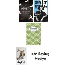 Alfa Yayınları Bir Yüreğin Çöküşü + Son Kuşlar + Yaslı Mızıka + Kör Baykuş