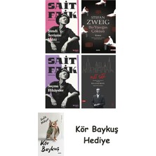 Alfa Yayınları Şimdi Sevişme Vakti + Bir Yüreğin Çöküşü + Seçme Hikâyeler + Nat Tate + Kör Baykuş