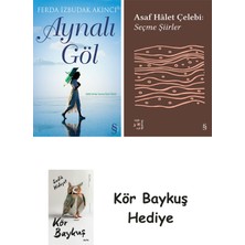 Alfa Yayınları Aynalı Göl + Everest Açıkhava 35 - Seçme Şiirler + Kör Baykuş