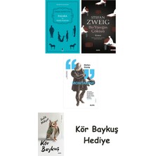 Alfa Yayınları Falaka ve Diğer Öyküler + Bir Yüreğin Çöküşü + Montaigne + Kör Baykuş