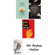 Alfa Yayınları Göl Saatleri + Bir Yüreğin Çöküşü + Kaçakçı Şahan + Kör Baykuş