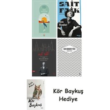 Alfa Yayınları Göl Saatleri + Son Kuşlar + Nat Tate + Uzakta Beyaz + Kör Baykuş