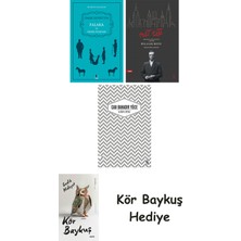 Alfa Yayınları Falaka ve Diğer Öyküler + Nat Tate + Uzakta Beyaz + Kör Baykuş