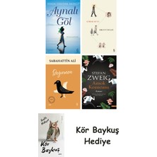 Alfa Yayınları Aynalı Göl + Görme Huyu + Değirmen + Amok Koşucusu + Kör Baykuş