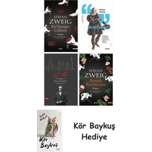 Alfa Yayınları Bir Yüreğin Çöküşü + Montaigne + Nat Tate + Amok Koşucusu + Kör Baykuş