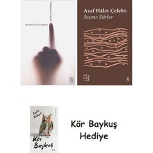 Alfa Yayınları Olmayanım Içinizde + Everest Açıkhava 35 - Seçme Şiirler + Kör Baykuş