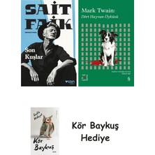 Alfa Yayınları Son Kuşlar + Everest Açıkhava 41 - Dört Hayvan Öyküsü + Kör Baykuş