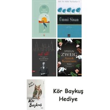 Alfa Yayınları Göl Saatleri + Ümmi Sinan + Nat Tate + Amok Koşucusu + Kör Baykuş