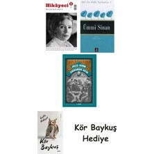 Alfa Yayınları Hikayeci - 5 + Ümmi Sinan + Zacharius Usta + Kör Baykuş