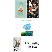 Alfa Yayınları Göl Saatleri + Katip Bartleby + Gecenin Gecesi + Kör Baykuş