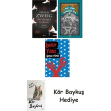 Alfa Yayınları Bir Yüreğin Çöküşü + Zacharius Usta + Beyaz Türkü + Kör Baykuş