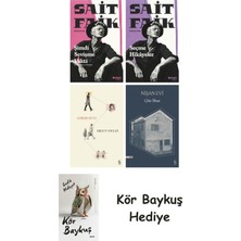 Alfa Yayınları Şimdi Sevişme Vakti + Seçme Hikâyeler + Görme Huyu + Nişan Evi + Kör Baykuş